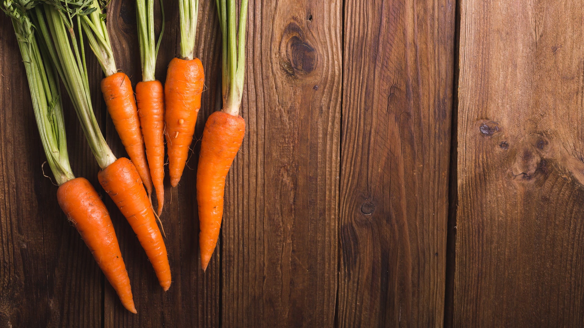 Carotina