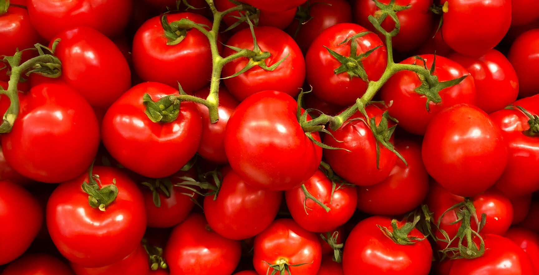 Trucchi per le piante di pomodoro