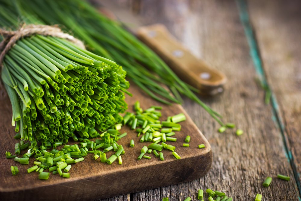 Erba Cipollina: proprietà, benefici e utilizzo in cucina