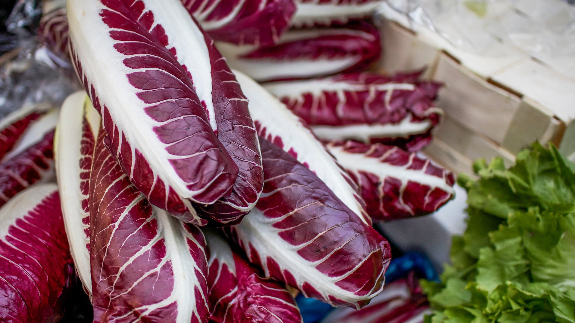 Crostini di radicchio