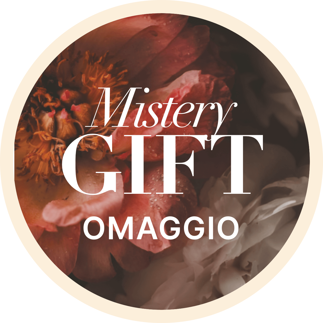 🎁 MISTERY GIFT BLACKFRIDAY (100% off)